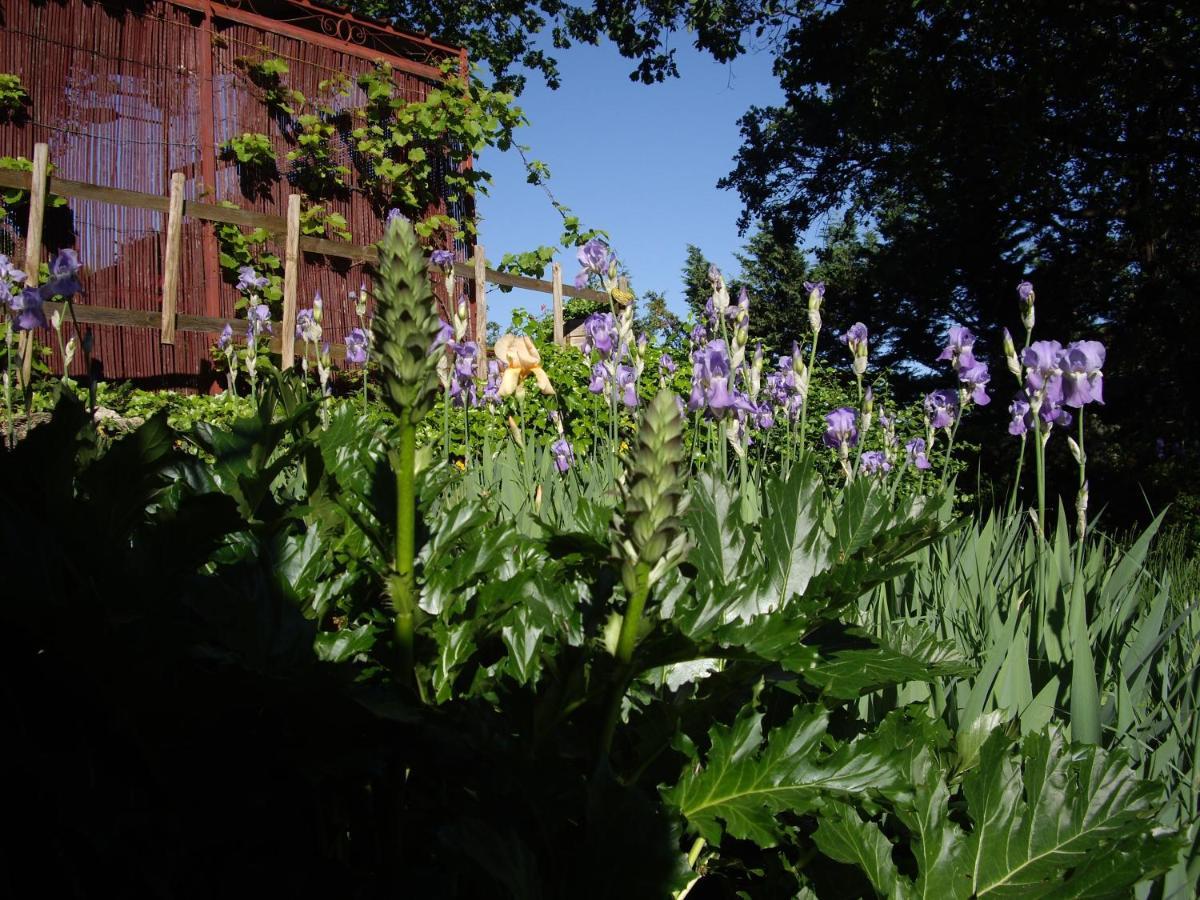 La Bastide De Mauragne - Gite Les Iris 압트 외부 사진